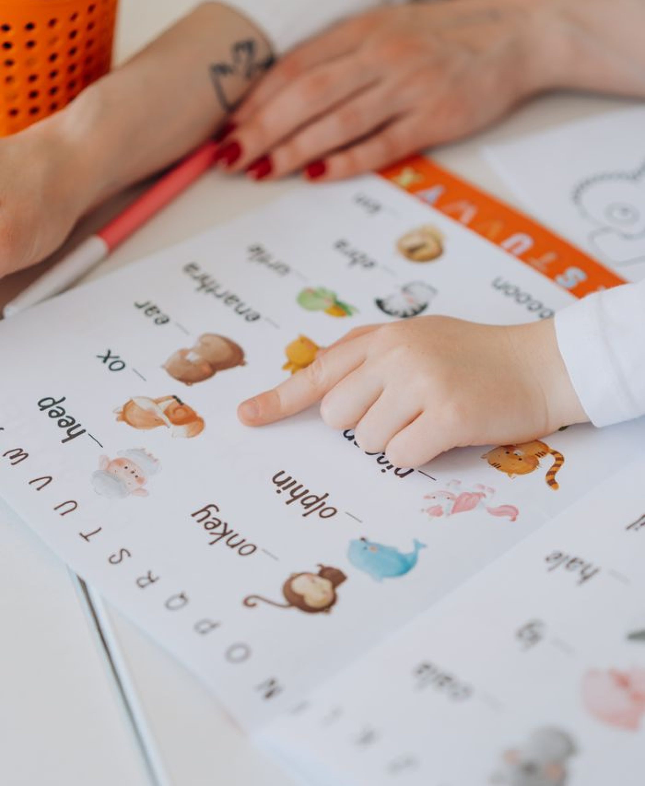 A child points to animals in a colorful alphabet book, learning letters.